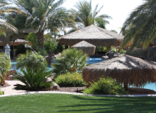 6 Pole Custom Palapa Construction